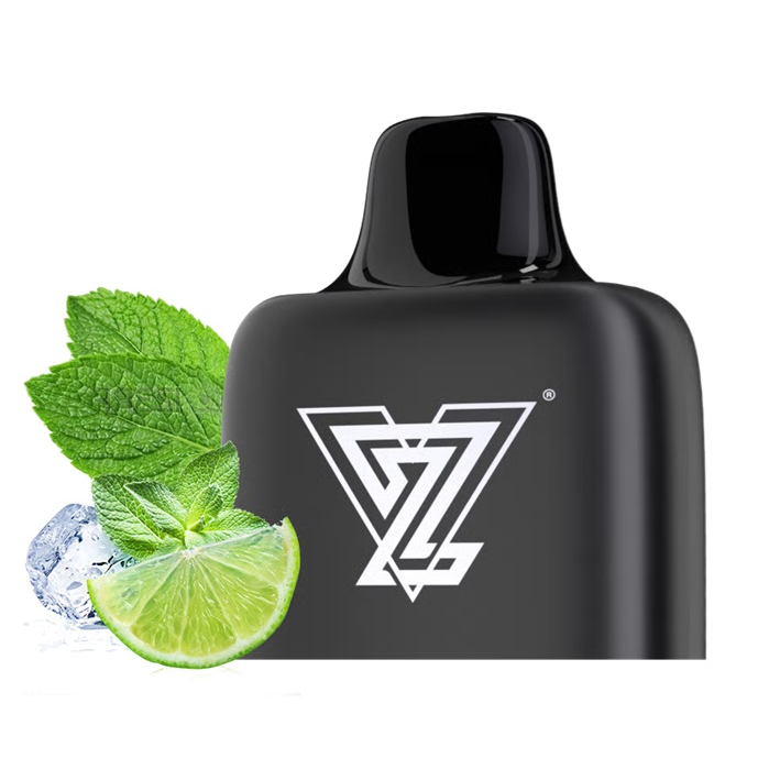 VIZZEL PRO PODS
