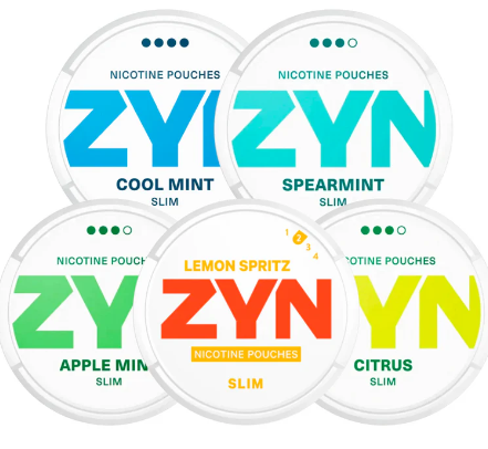 ZYN POUCHES DE NICOTINA